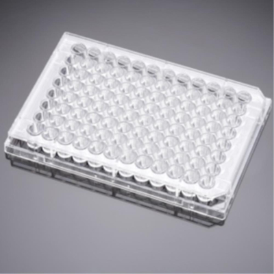 BioCoat Collagen IV 96 Well Clear Flat Bottom TC-Treated Microplate, with Lid, Nonsterile