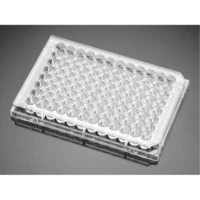 BioCoat Poly-L-Lysine 96 Well Clear Flat Bottom TC-Treated Microplate, with Lid, Nonsterile