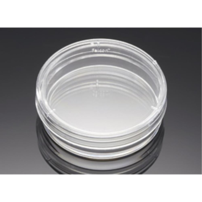 BioCoat Poly-L-Lysine 35mm TC-Treated Culture  Dish, 9.6cm2 Cell Growth Area