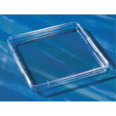 Corning 245mm Square BioAssay Dish with Handles,  Not TC-Treated Culture