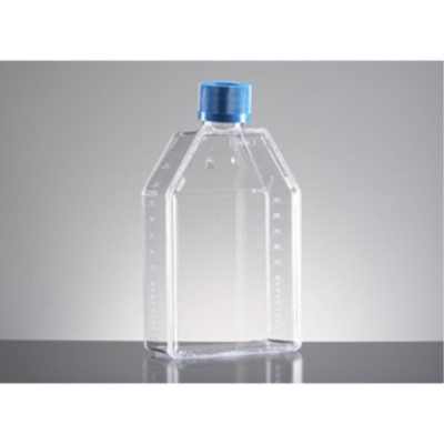 Corning BioCoat Laminin 75cm2 TC-Treated Flask  with Plug Seal Cap, Rectangular, Canted Neck