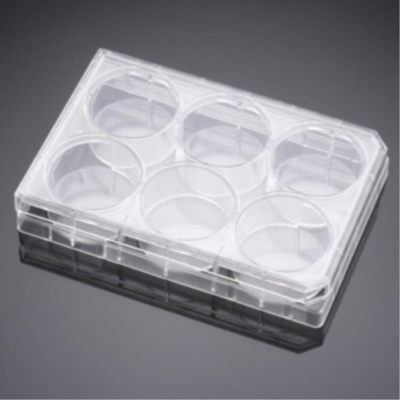 PureCoatAmine 175 cm2 Flask