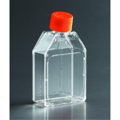 Corning 150cm2 U-Shaped Canted Neck Cell Culture  Flask with Plug Seal Cap - TC Treated