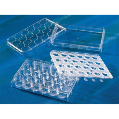 HTS Transwell-24 Well Permeable Support with 0.4um Pore Polyester Membrane and 6.5mm Inserts