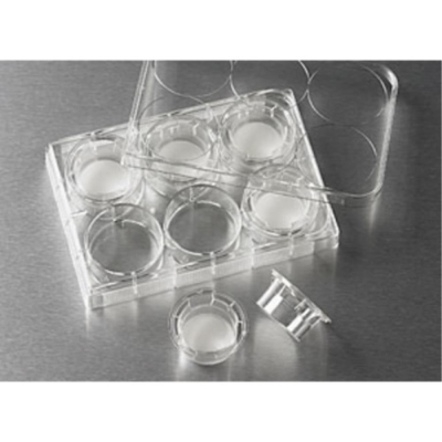 24mm Transwell with 3.0um Pore Polycarbonate Membrane Insert Sterile