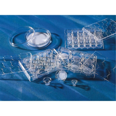 6.5mm Transwell with 3.0um Pore Polycarbonate Membrane Insert Sterile