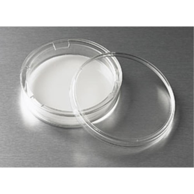 75mm Transwell with 3.0um Pore Polycarbonate Membrane Insert Sterile