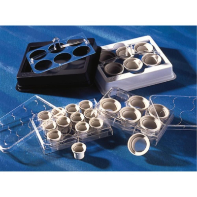 24mm Netwell Insert with 500 um Mesh Size Polyester Membrane Sterile