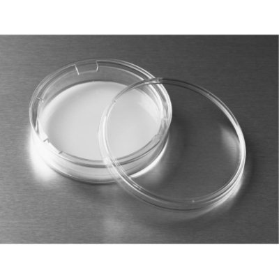 Corning 75mm Transwell with 0.4um Pore Polycarbonate Membrane Insert Sterile
