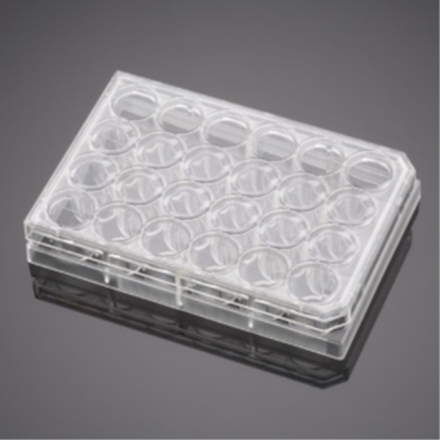 BioCoat Collagen I Cell Culture Inserts with 3.0 um Pore PET Membrane in Two 24 Well Plates