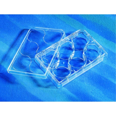 Corning CellBIND 48-Well Multiwell Plates, Clear, Flat Bottom, with Lid, Sterile
