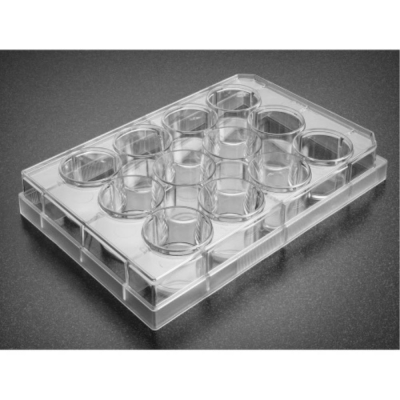 Corning Primaria 24-Well Surface-Modified Multiwell Culture Plate with Lid, Clear, Flat  Bottom, Ste