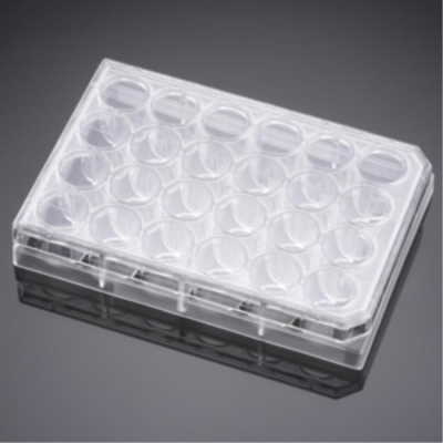 Corning BioCoat Poly-D-Lysine 24-Well TC Treated  Multiwell Plate, Clear, Flat Bottom, with Lid,  No