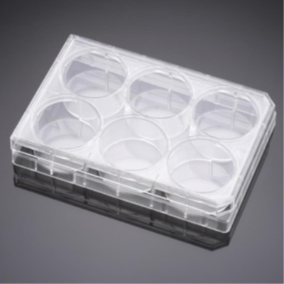 BioCoat Collagen IV 6 Well Clear Flat Bottom TC-Treated Multiwell Plate, with Lid, Nonsterile