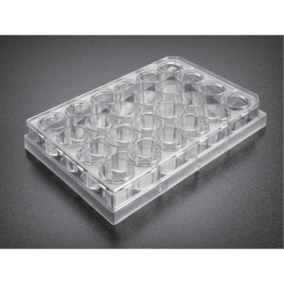 Corning BioCoat Matrigel Invasion Chamber with  8.0um PET Membrane in Two 24-well Plates