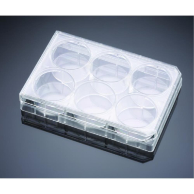 Corning BioCoat Matrigel Invasion Chamber with  8.0um PET Membrane in Four 6 Well Plates