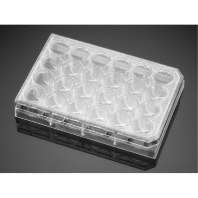 BD Biocoat poly d lysinela minin 24 wells plate