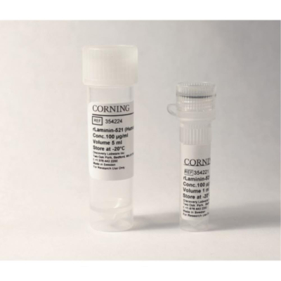 Corning rLaminin-521 (Human) 1 mg