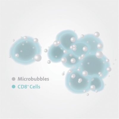 Corning X-MINI Human CD8 Selection Kit