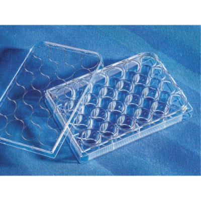 Corning Plate 24 Well Non-Treated