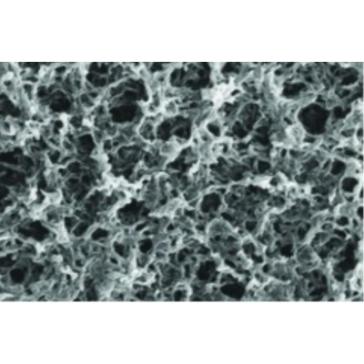 Whatman Nytran SuPerCharge (SPC) Nylon Blotting Membrane 0.45 um 20 cmx3 m roll