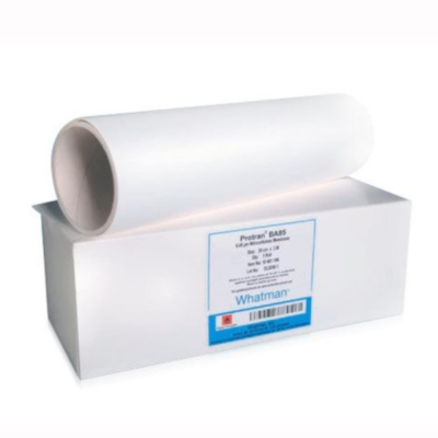 Whatman Protran BA85 Nitrocellulose Blotting Membrane, 0.45 um, 25 mm, circle