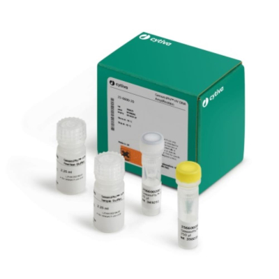 Cytiva GenomiPhi HY DNA Amplification Kit - 1000  Reactions