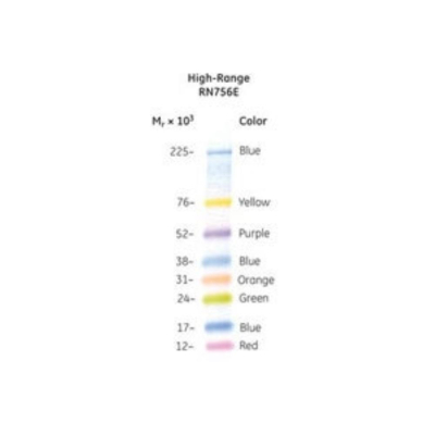 Amersham ECL High-Range Rainbow Molecular Weight Markers