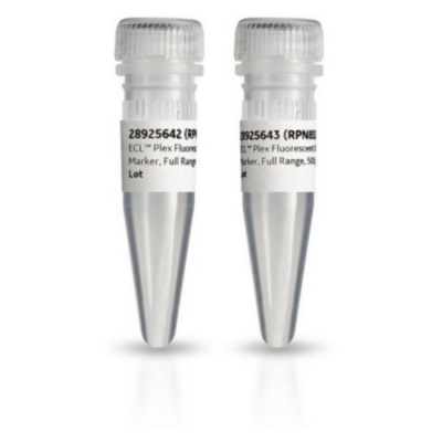 Amersham ECL Plex Fluorescent Rainbow Markers 120 ul Amersham ECL Plex Fluorescent Rainbow Markers 120 ul