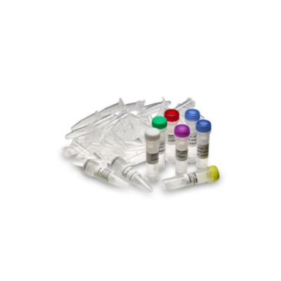 illustra Ready-To-Go RAPD Analysis Kit