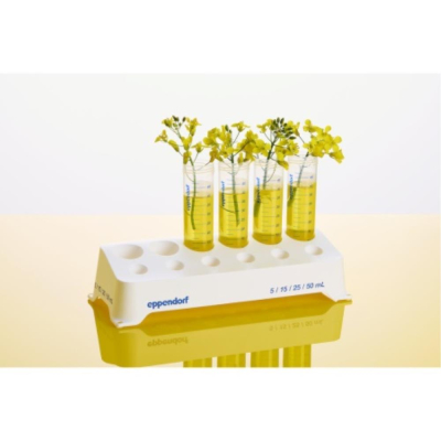 Eppendorf Tubes BioBased 5mL Sterile Pyrogen DNase RNase and DNAFree 2 bags of 100