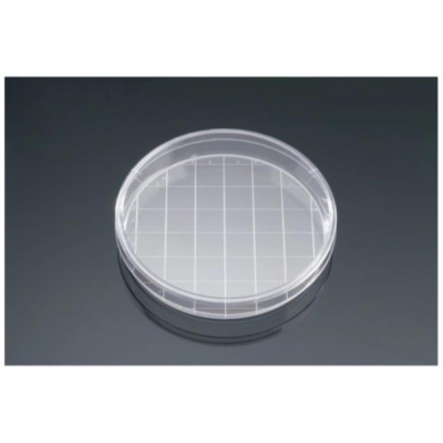 Falcon 150 x 25mm TC-Treated Cell Culture Dish with 20mm Grid