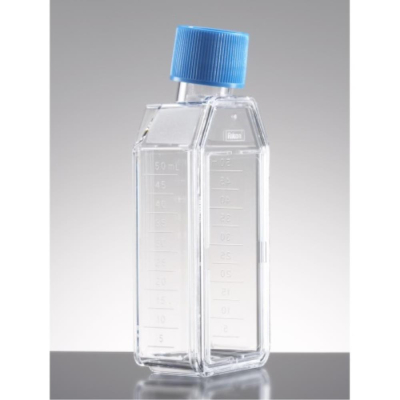 Falcon 25cm2 Canted Neck TC-Treated Cell Culture Flask with Plug Seal Screw Cap 50mL