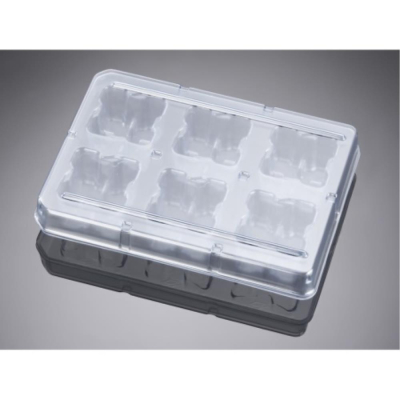 Falcon 6 Well Deep Well TC-Treated Polystyrene Plate