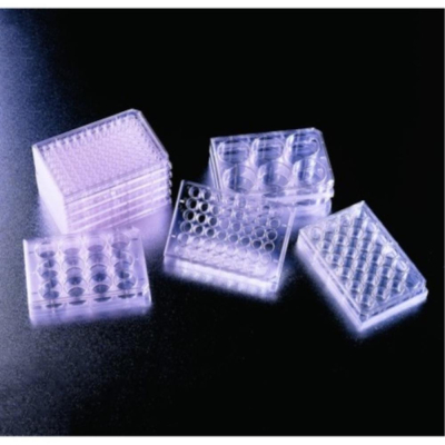 Falcon 12 Well Clear Flat Bottom TC-Treated Multiwell Cell Culture Plate with Lid Sterile