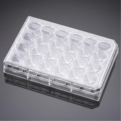 Falcon 24 Well Clear TC-Treated Cell Culture Insert Companion Plate with Lid