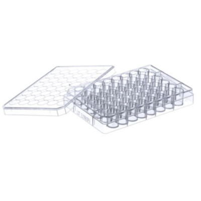 Greiner 48 well TC treated plate with lid sterile
