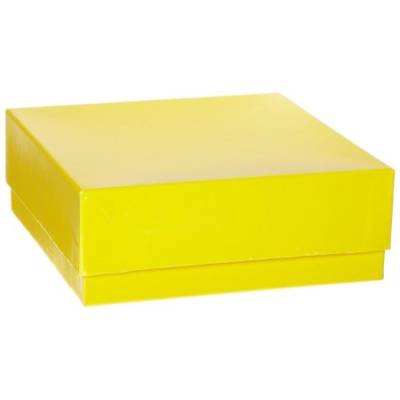 Heathrow Scientific Cardboard Cryogenic Tube Storage Box and Lid - 50mm - Yellow
