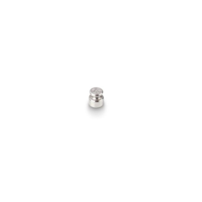Kern Class M1 Test Weight with Plastic Box - Certified - 1g