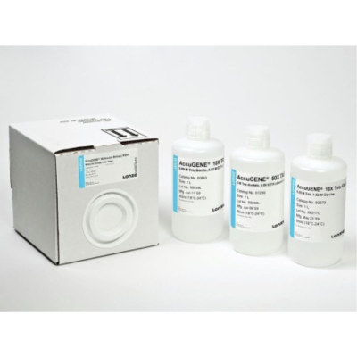 Lonza AccuGENE TAE Buffer 10X Concentration - 1L