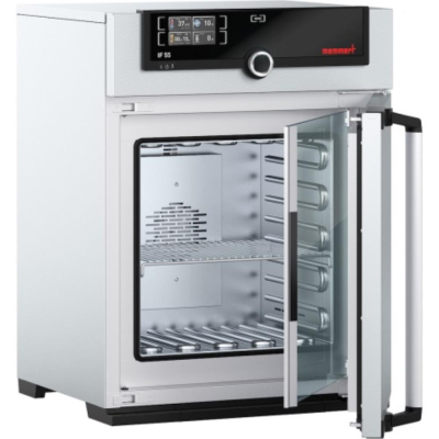 Memmert Incubator IF55 Forced Air Circulation SingleDISPLAY with 1 Grid 53L