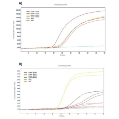 Meridian Bioscience RT-qPCR Extraction Control Orange - 500 Reactions