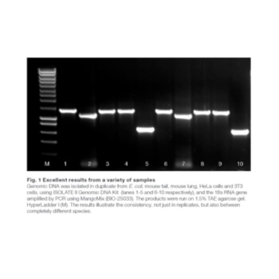 Meridian Bioscience ISOLATE II Genomic DNA Kit - 50 Preps
