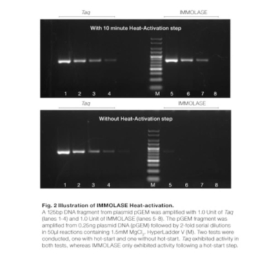 Meridian Bioscience IMMOLASE DNA Polymerase - 500 Units