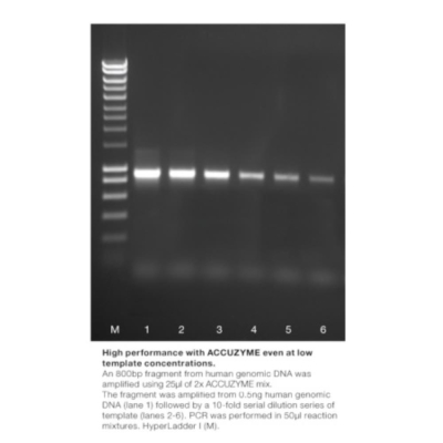 Meridian Bioscience ACCUZYME DNA Polymerase - 500 Units