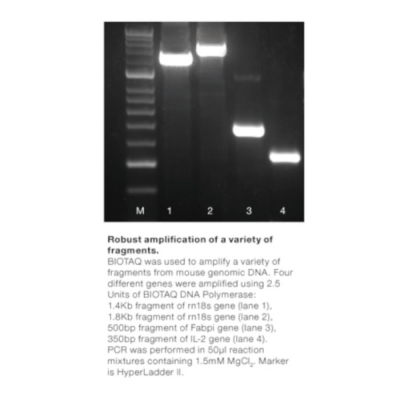 Meridian Bioscience BIOTAQ DNA Polymerase - 2500 Units