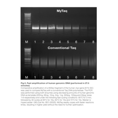 Meridian Bioscience MyTaq Red DNA Polymerase - 500 Units