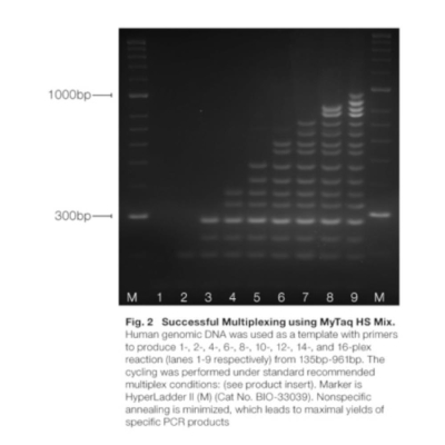 Meridian Bioscience MyTaq HS Mix - 1000 Reactions