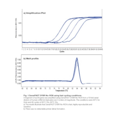 Meridian Bioscience SensiFAST SYBR No-ROX Kit - 500 Reactions