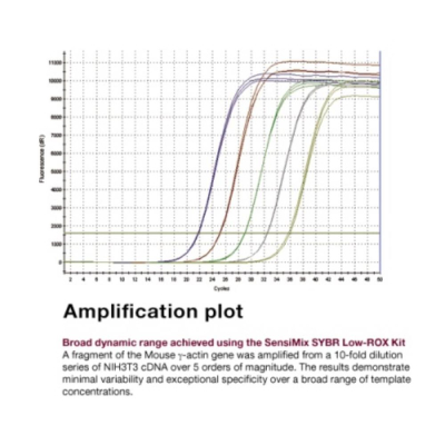 Meridian Bioscience SensiMix SYBR Low-ROX Kit - 500 Reactions